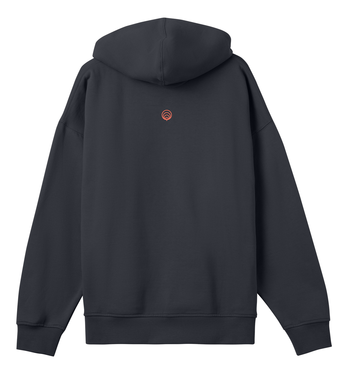 AoR Boxy Hoodie